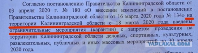 Штраф за нарушение самоизоляции... Калининград