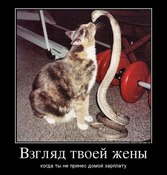 Все устали за день. Я Вам немного улыбательства подкину