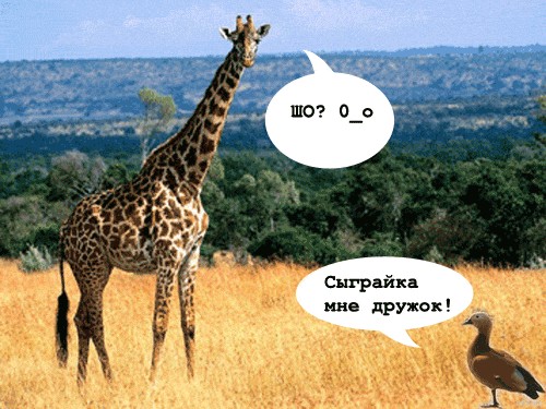 Фотожаба: Сон Лаванды