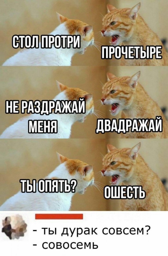 Немного картинок для настроения 18.05.20