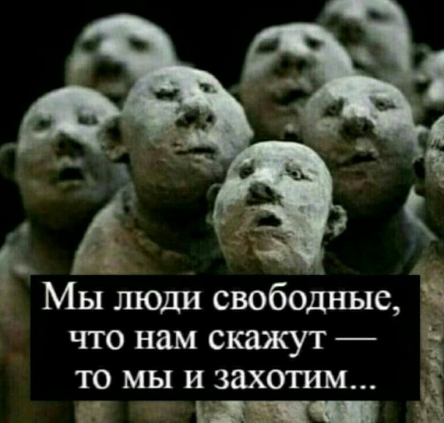 Подсчет баранов