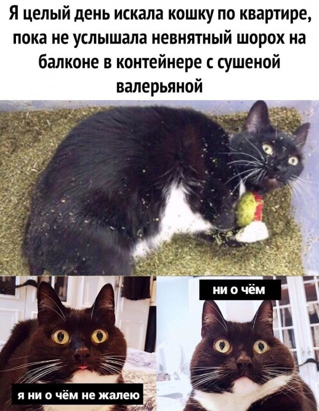 Так себе картинки 01.07.20