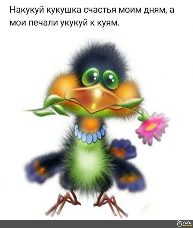 Бредзона 07.07.2020