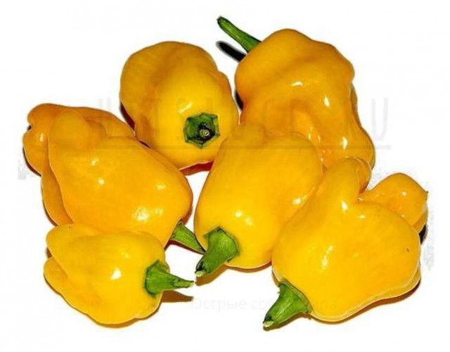 Маринованный Халапеньо. Классический рецепт.