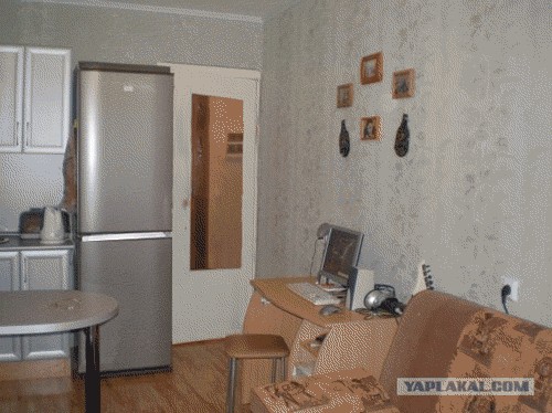 Найди кота