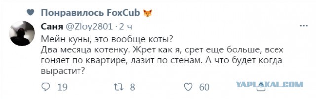 Тут что-то не так