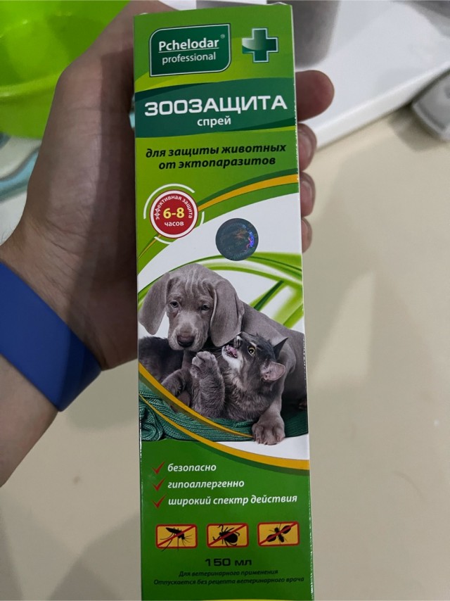Дачные грибочки