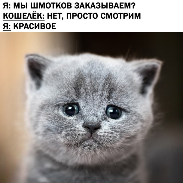 Кретинизмы из сети 19.08.2021