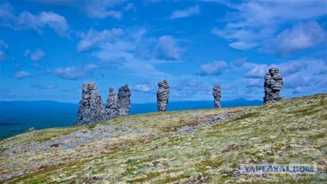 Болваны, я восьмой