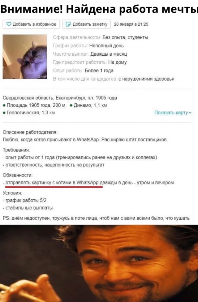 Чуток картинок 04.02.22