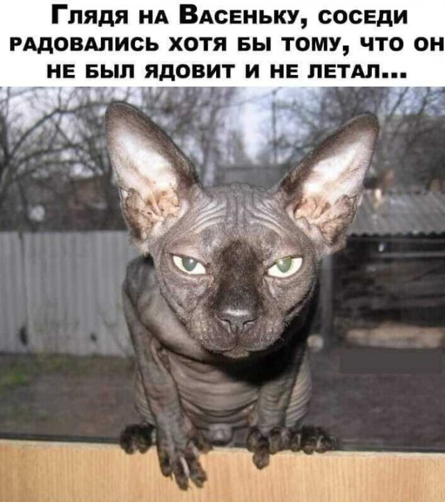 Так себе картинки 16.02.22