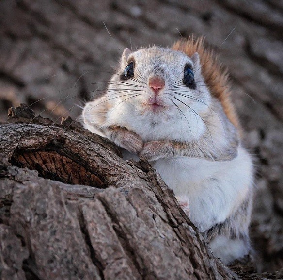 35 картинок разных 28.03.2022