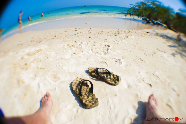 Под жарким солнцем декабря