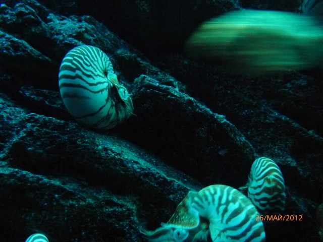 Путешествие в Таиланд.