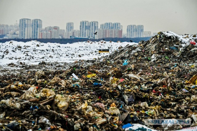 Из Москвы с любовью