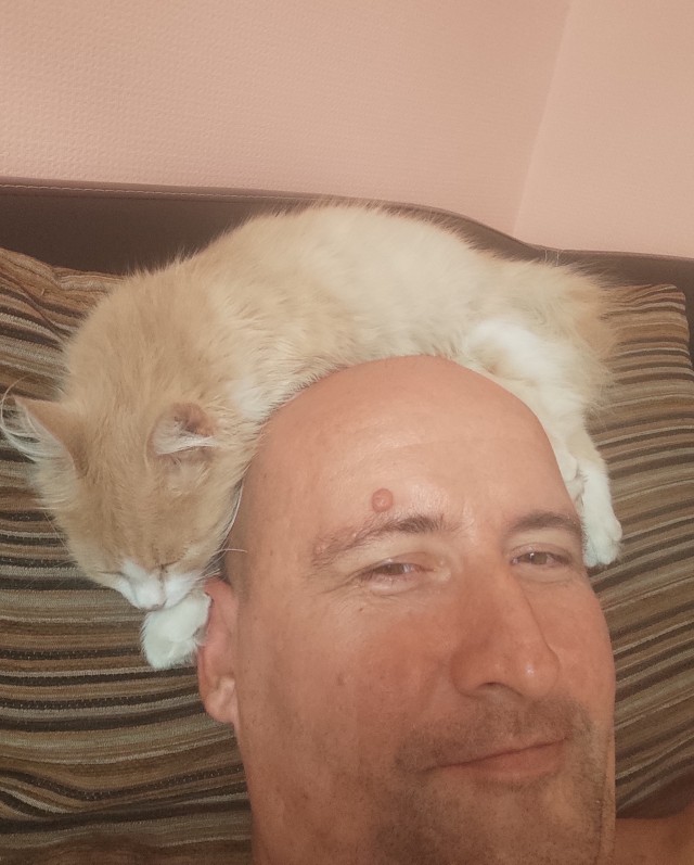 А как вы спите с котиком?