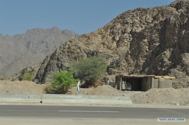 Как я ездил в Египет