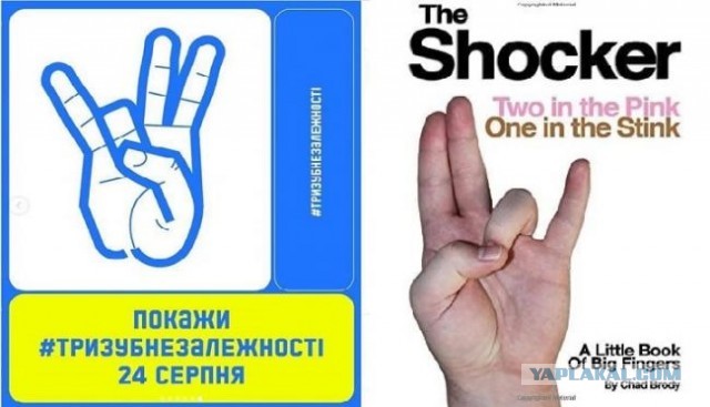 Тест на внимательность