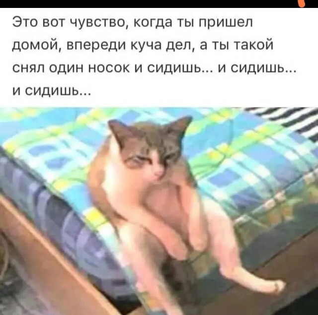 Муж начал пить - одна из причин