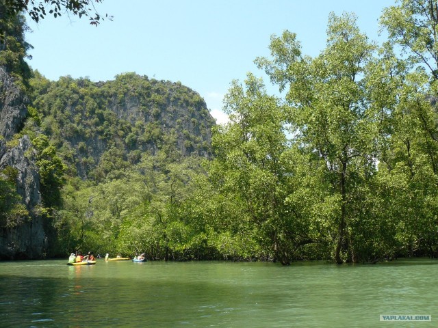 Немного Тая