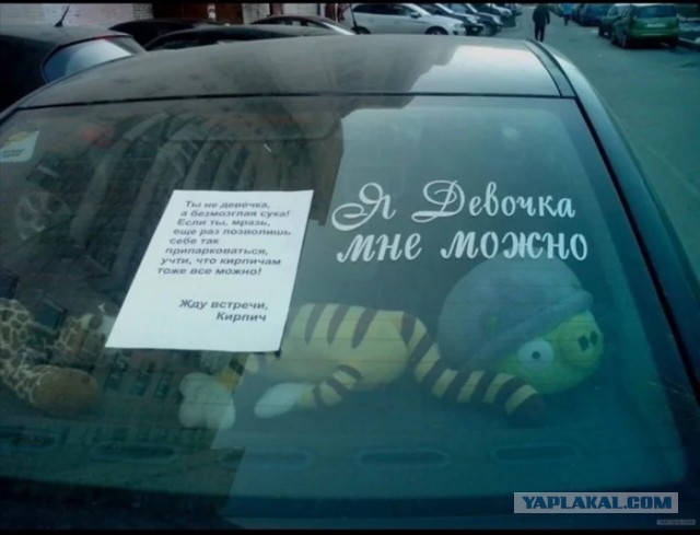 Дрессировка слонов и Аленей