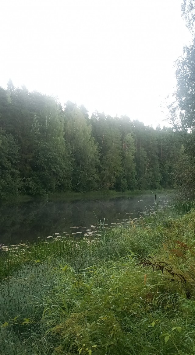 Рыбалка онлайн