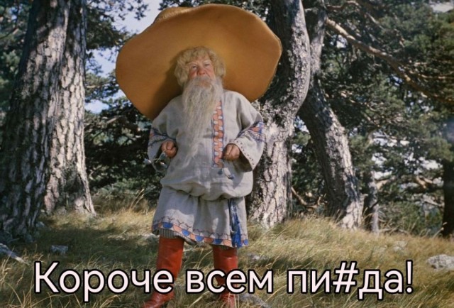 Как выглядят те грибы, которые теперь запрещено собирать в России