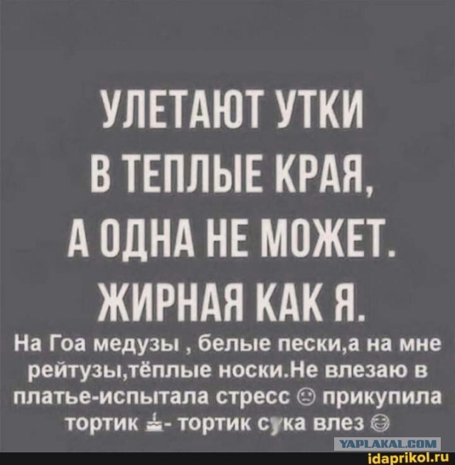 Спас тупую утку, вопросы по содержанию