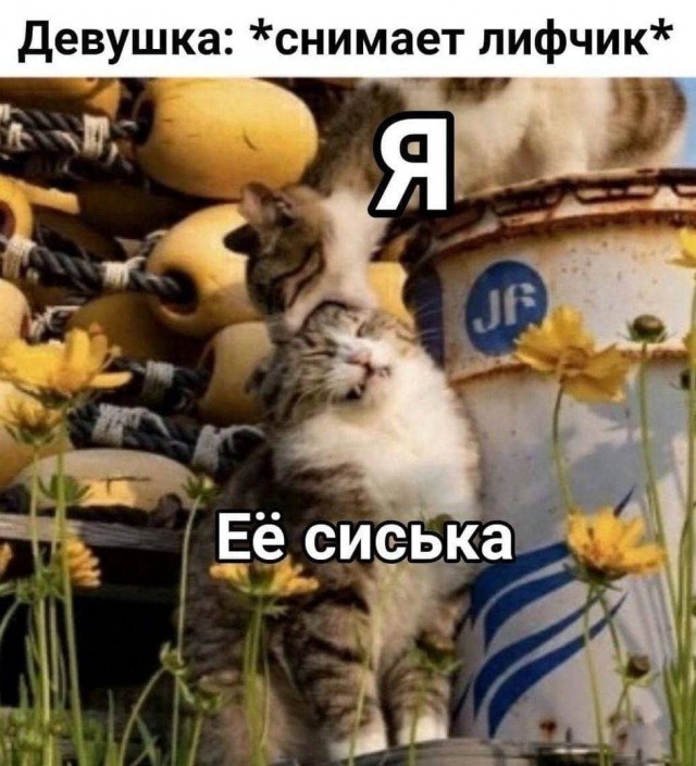 Пошло-тупые картинки