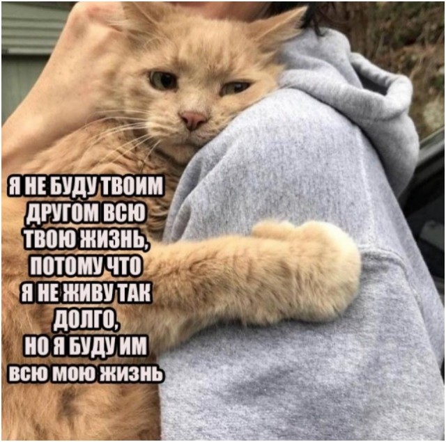 Берегите своих питомцев