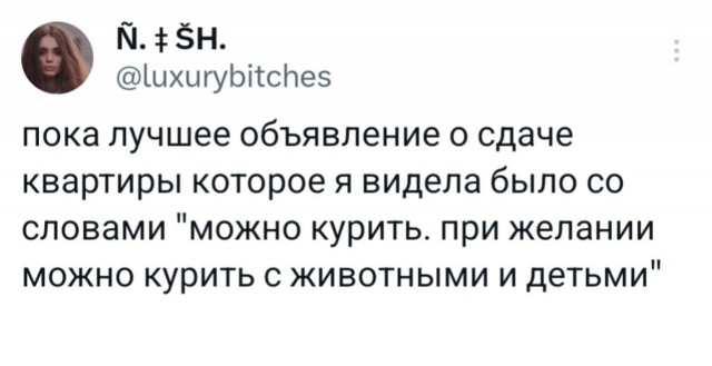 Весёлый полтишок 04.03.24