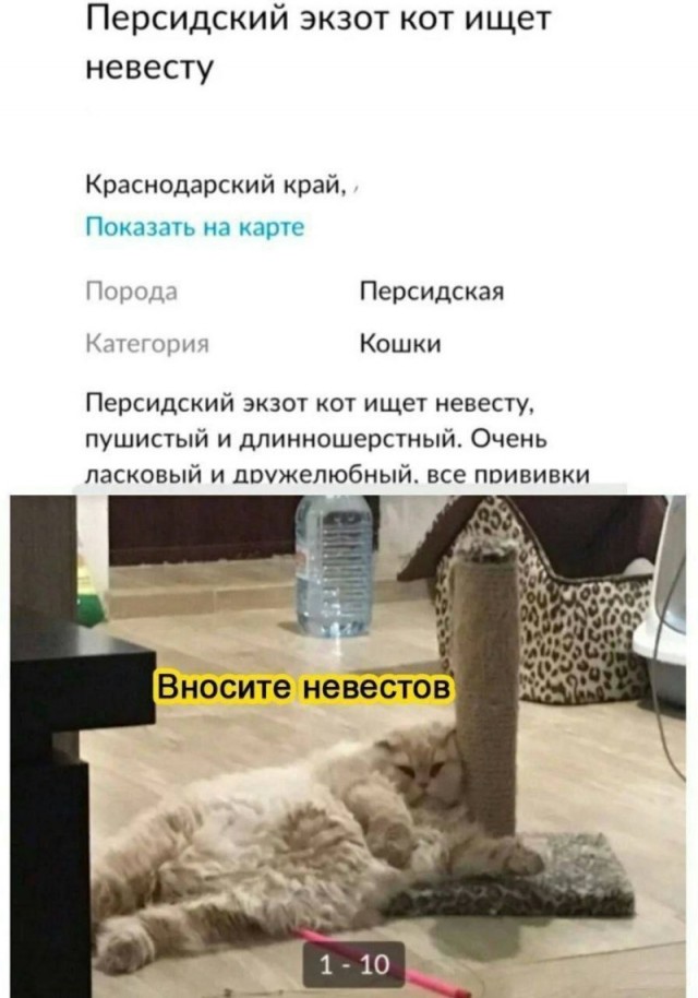 ТРРРРРидцать тРРРРРи от 22 маРРРРта!