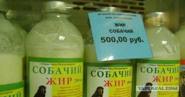 Поганое шавло просто игралось