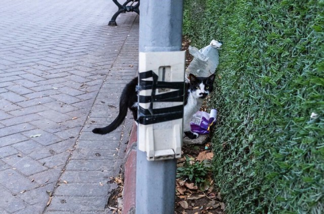 Фотосмесь 02.04.24