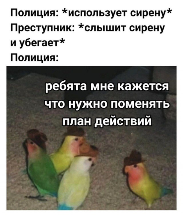 Всего понемногу. От 24.06.2024