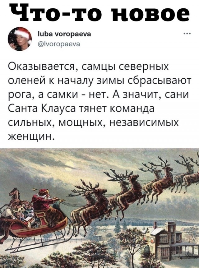 Никакие картинки и тексты