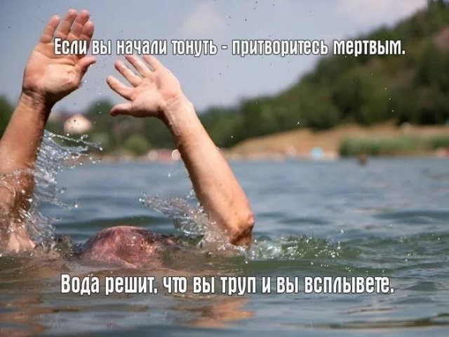 Юмор цвета "Вишнёвый тупняк"