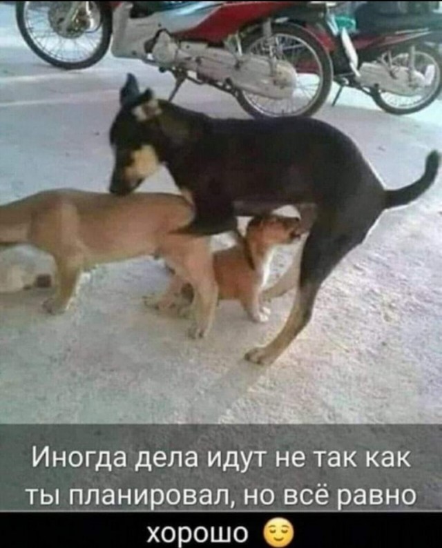 Так себе картинки 20.01.25