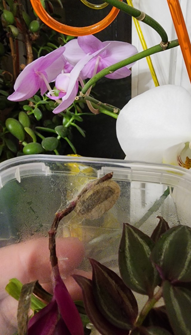 Вот такой февраль в МО...