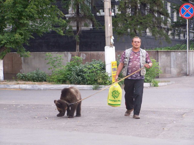 Мой любимый Барнаул