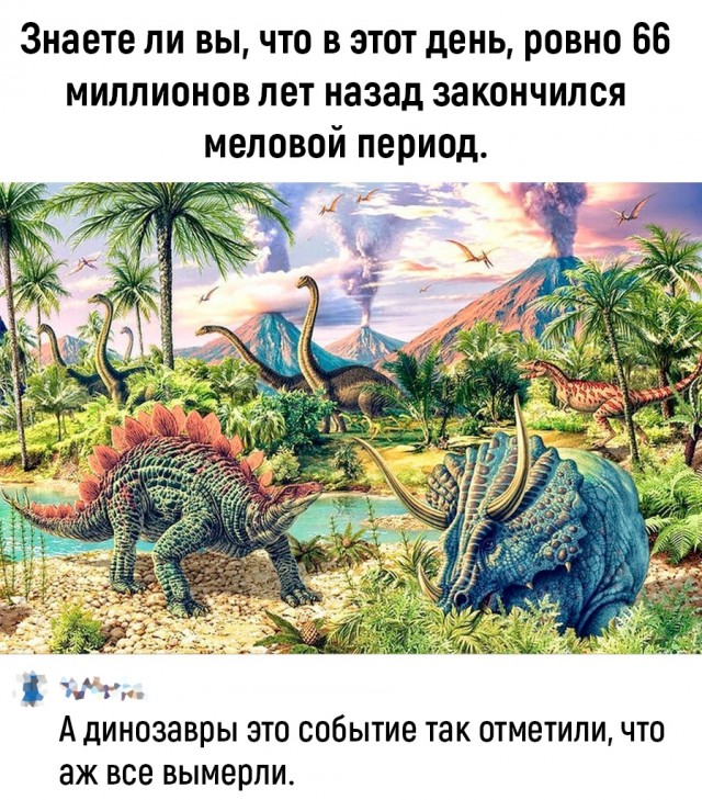 Так себе картинки 15.05.25