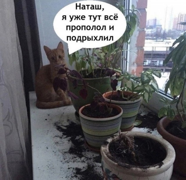 Завалялось тут случайно немного забавных картинок