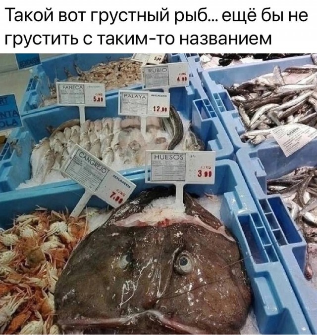 Веселое настроение в картинках 27.07.25