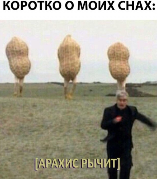 Картинки для деградации 18 (разной степени свежести)