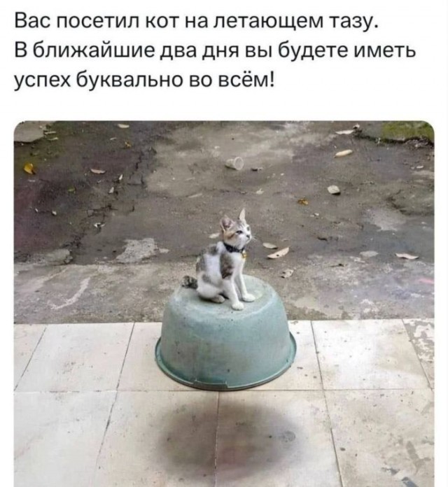 Так себе картинки 13.09.25