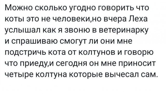 Веселые картинки в понедельник (29.09)