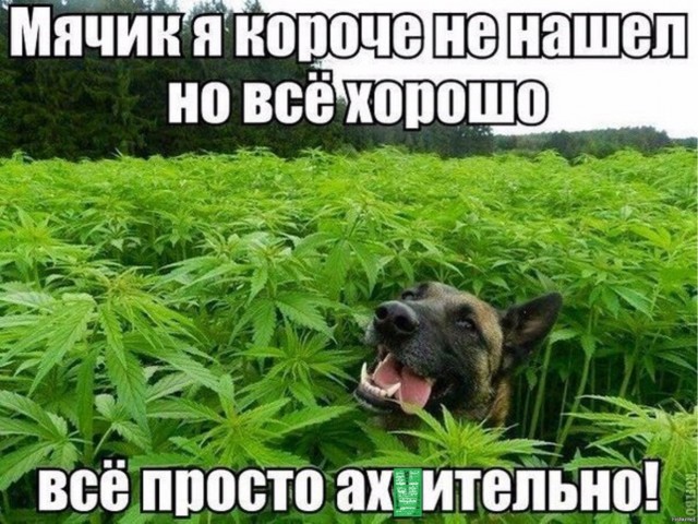 Четверг . Картинки для бодрого утра