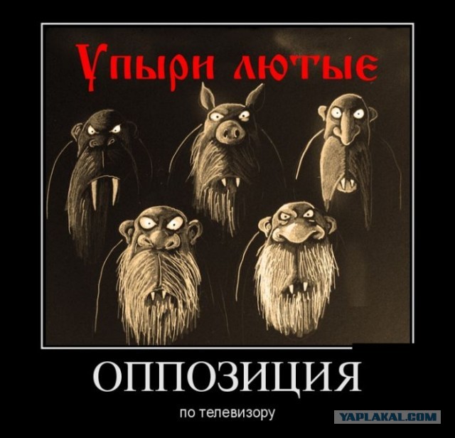 Патрирхат займется Васей Ложкиным
