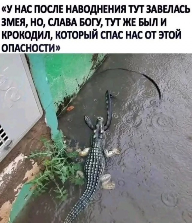 Маленькая пятница 03.12