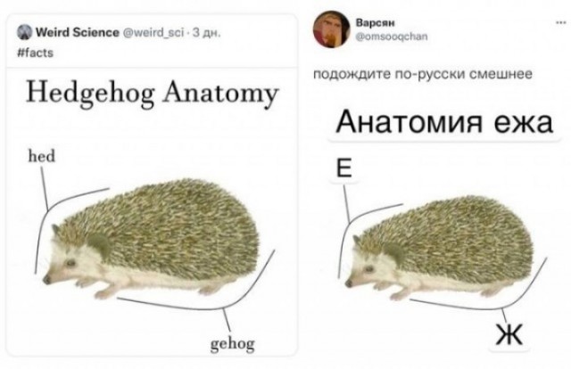 Дегрономикон 5